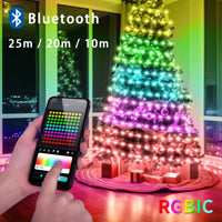 5V USB RGBIC Fairy String Light 25/20/10M Christmas Light With Bluetooth APP and Remote control